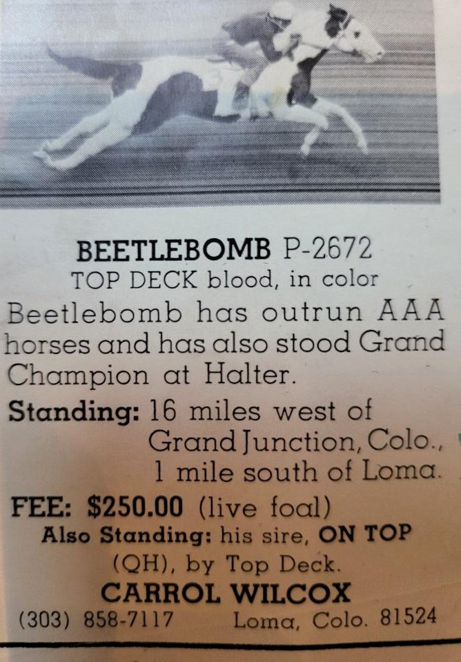 Beetlebomb P-2672 advertisement — Top Deck blood, in color