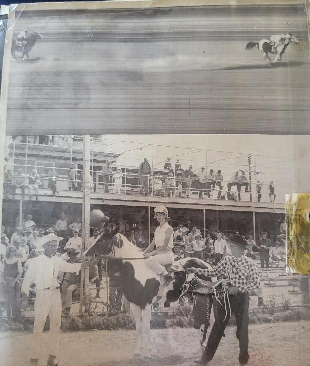 Showing at the fair with the grandstand behind