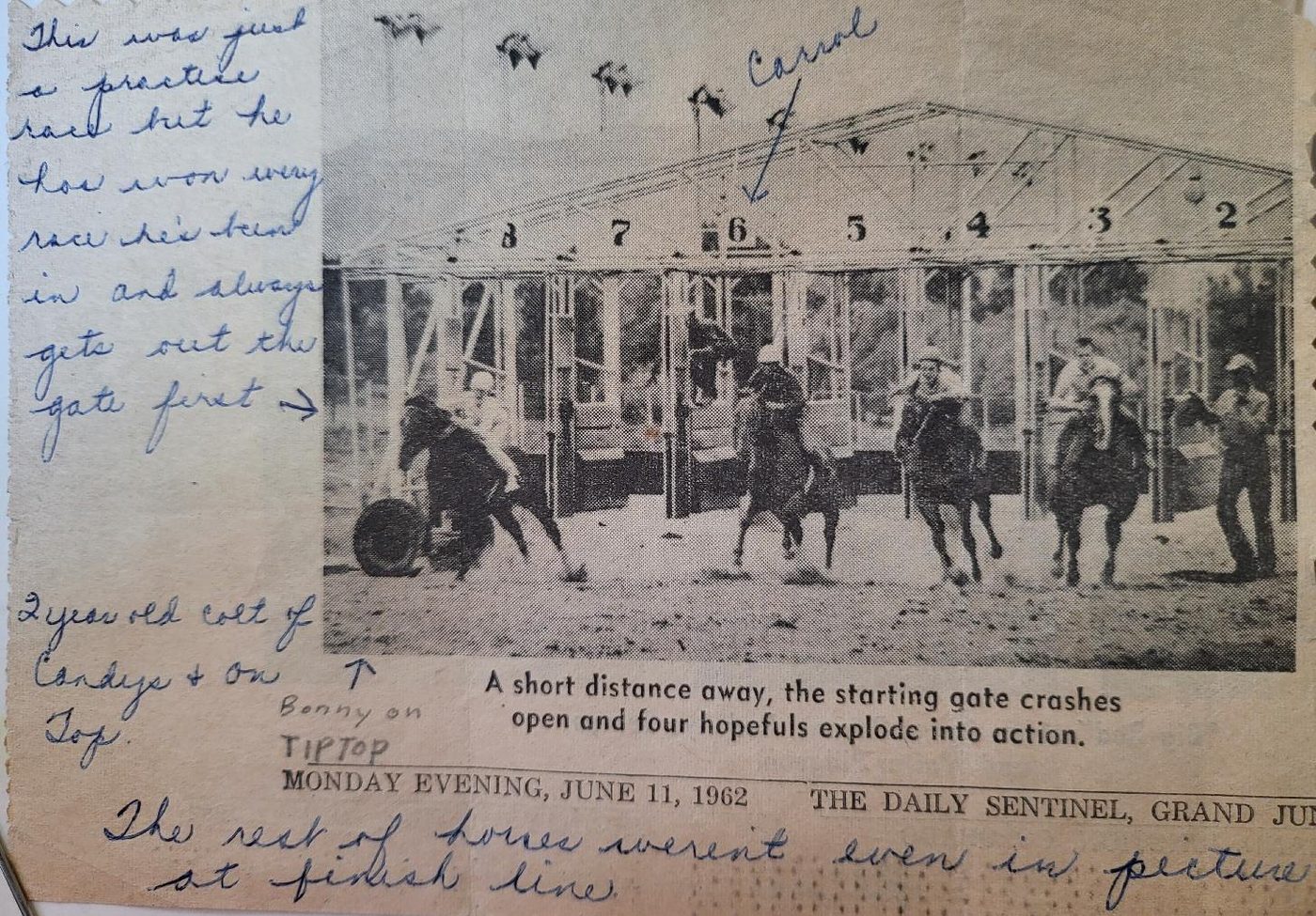 Newspaper photo of the starting gate crashing open at a race, with Barbara's handwritten notes