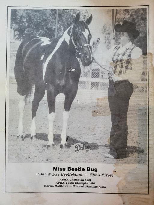 Miss Beetle Bug — clipping of a Beetlebomb daughter