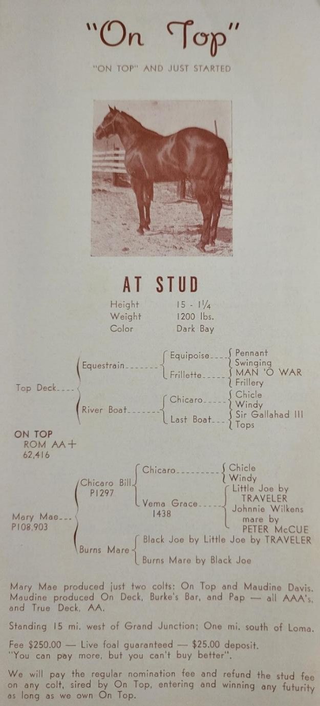 On Top at stud advertisement