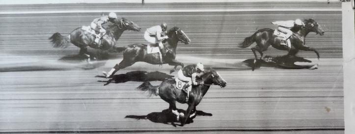 On Top winning at the race track, photo finish