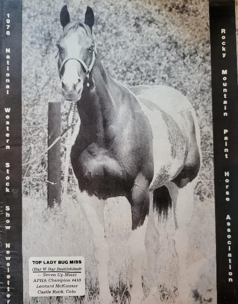 Top Lucky Bug Miss — progeny photo