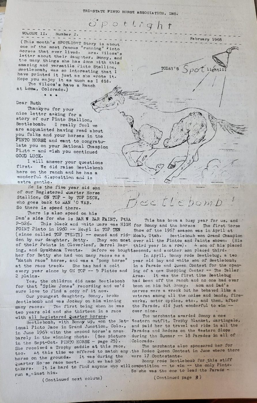Scrapbook spread of articles and drawings