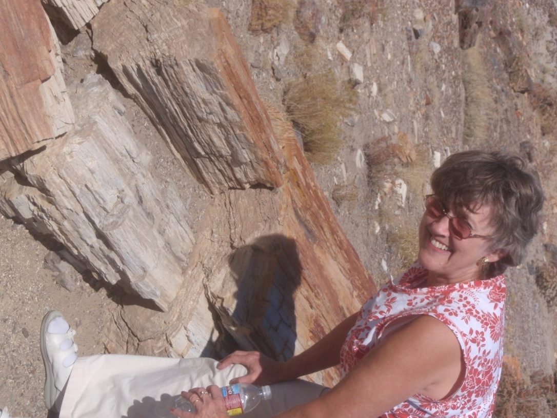 Bonny sitting beside a petrified log