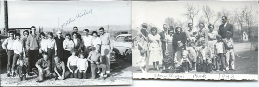 Two gatherings on one scan; the ink captions read: Hawthorn Park 1949 — and: Mother Wilcox