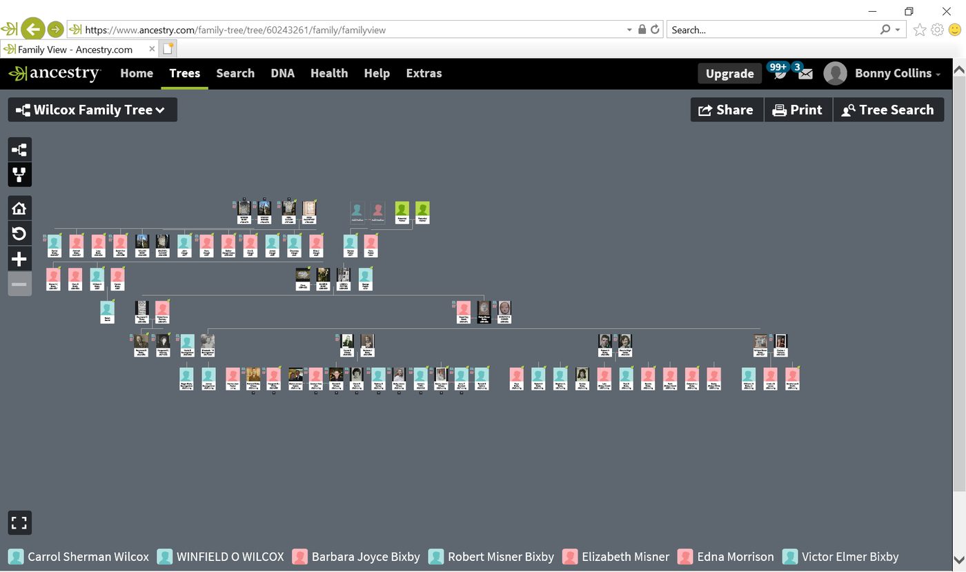 Ancestry.com family tree, screenshot