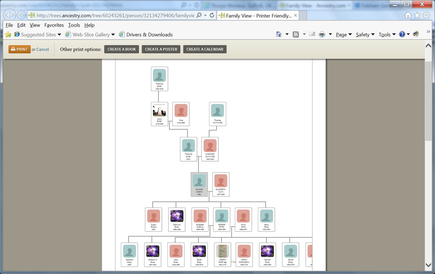 Ancestry.com pedigree chart, screenshot
