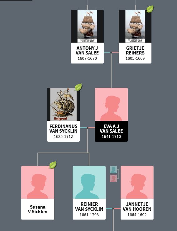 Ancestry.com tree: Antony J Van Salee and Grietje Reiners, Ferdinanus Van Sycklin and Eva A J Van Salee, and their children