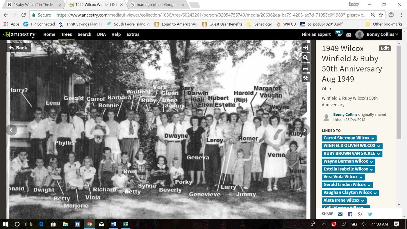 The labelled photograph of the Wilcox 50th anniversary, Aug 1949, on Ancestry.com
