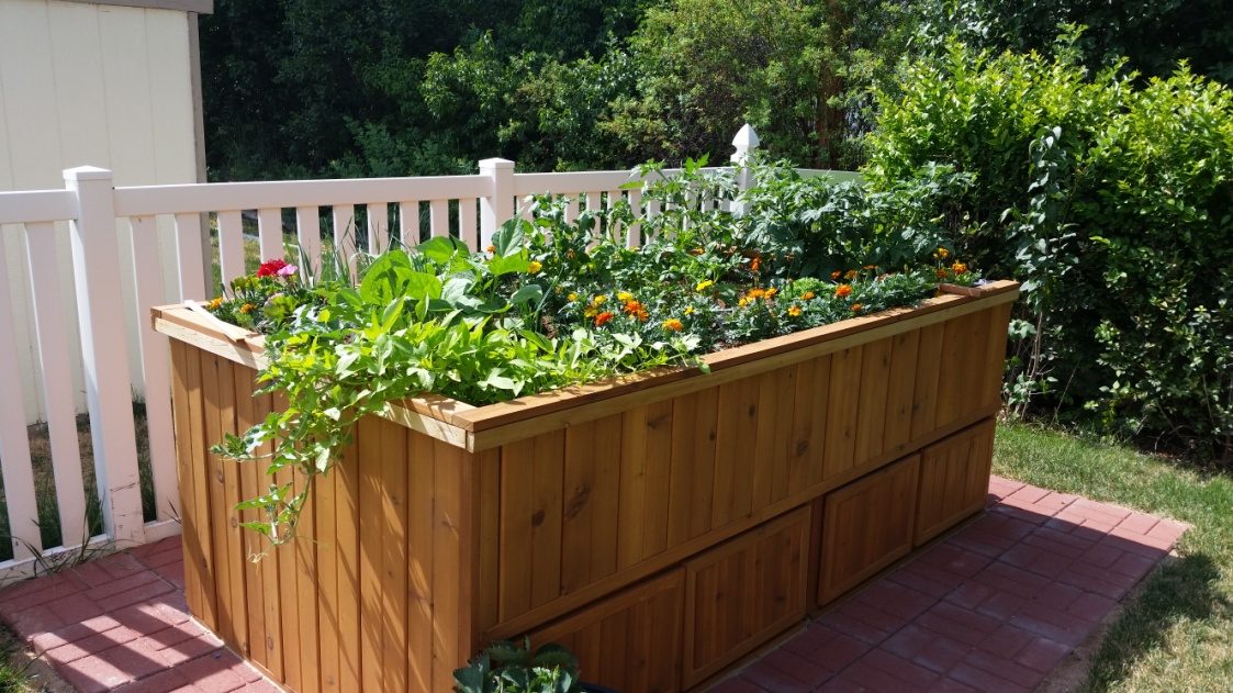 The garden bed end-on, planted with lettuces and flowers