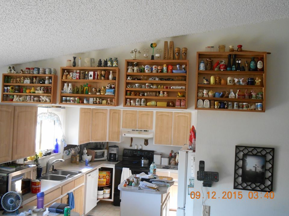 Salt and pepper shakers' display cases