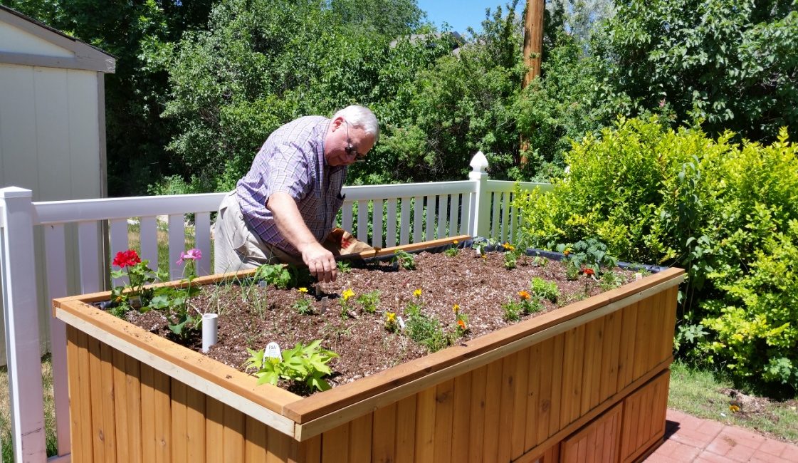 A man in a cap bent over the planted garden bed, working the soil