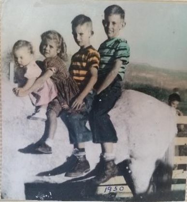 The Wilcox kids on horseback, 1950